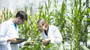 agricultural biotechnology: