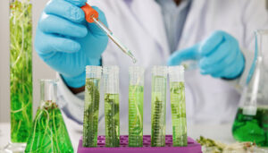 Understanding Biotechnology and Genomics