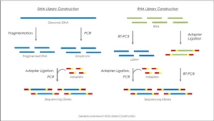 Next-Generation Sequencing (NGS):