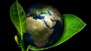 Environmental Sustainability